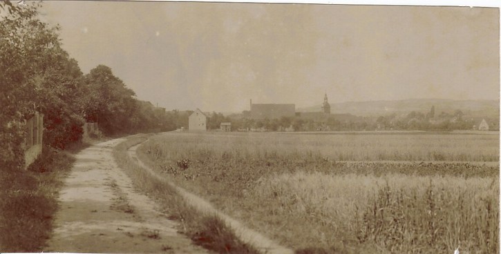 friedhofsweg richtung almrich 1920