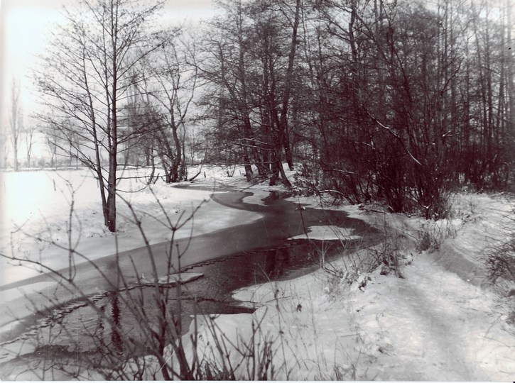 kleine Saale & Pfortenwiese am Ortseingang Winter 1955 - 56